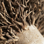 Betty Hand Crafted Ram Wooden Sculpture