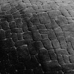 Bloomsbury Velvet Cushion