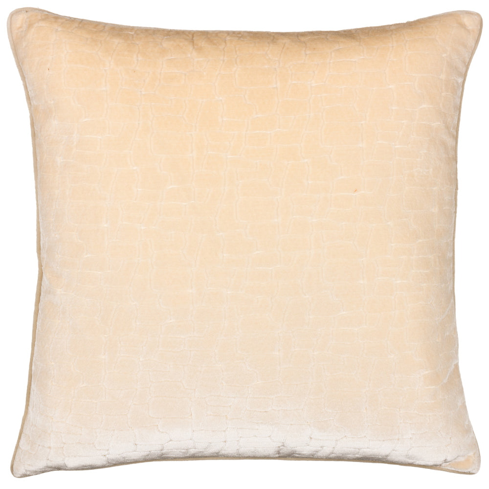 Bloomsbury Velvet Cushion