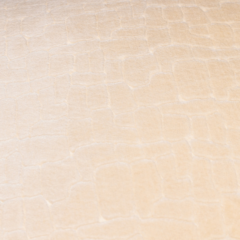 Bloomsbury Velvet Cushion