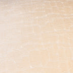 Bloomsbury Velvet Cushion