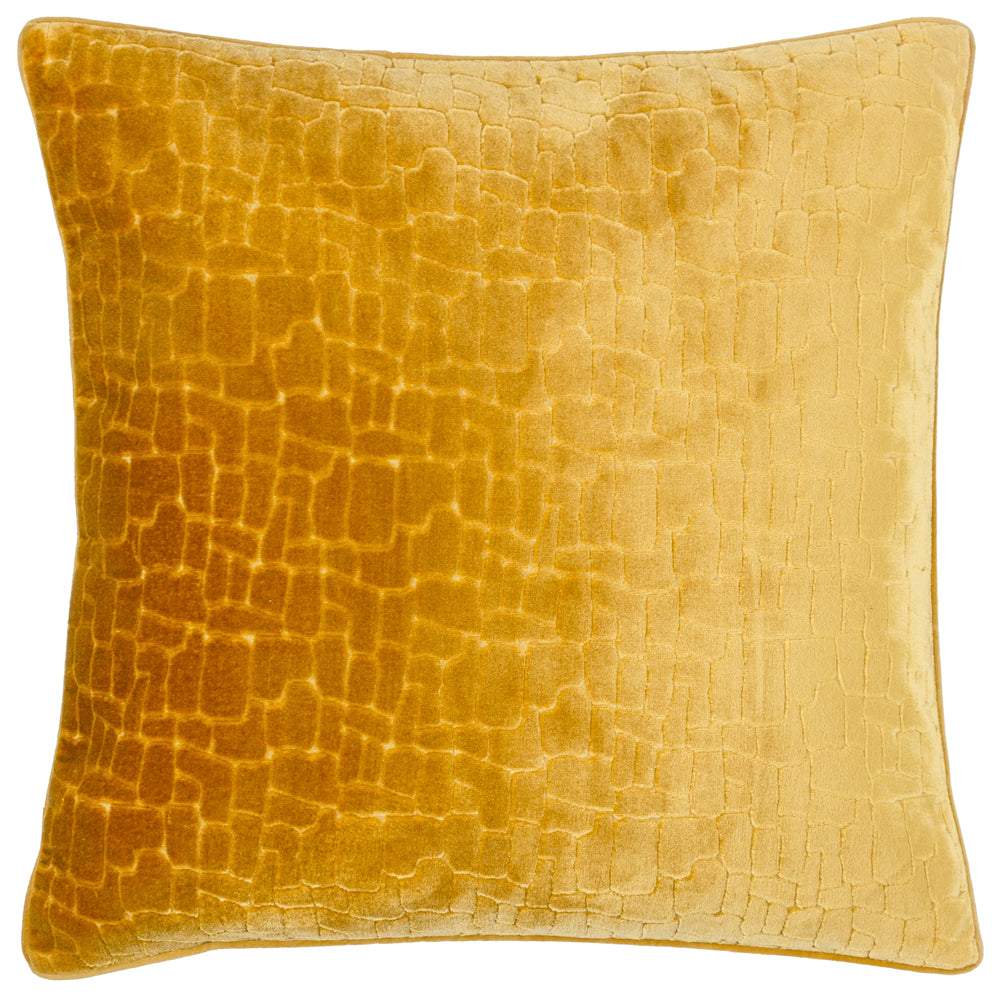 Bloomsbury Velvet Cushion