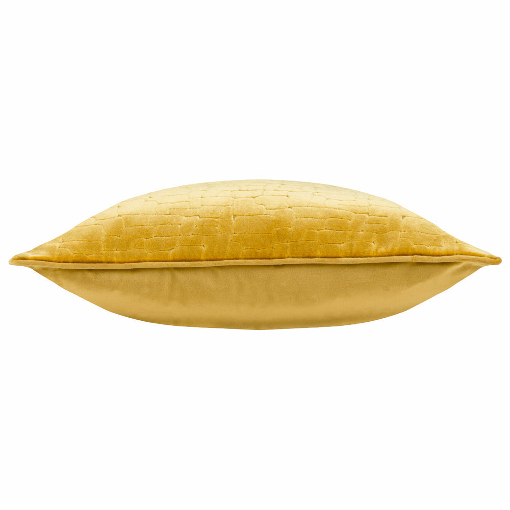 Bloomsbury Velvet Cushion