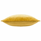 Bloomsbury Velvet Cushion
