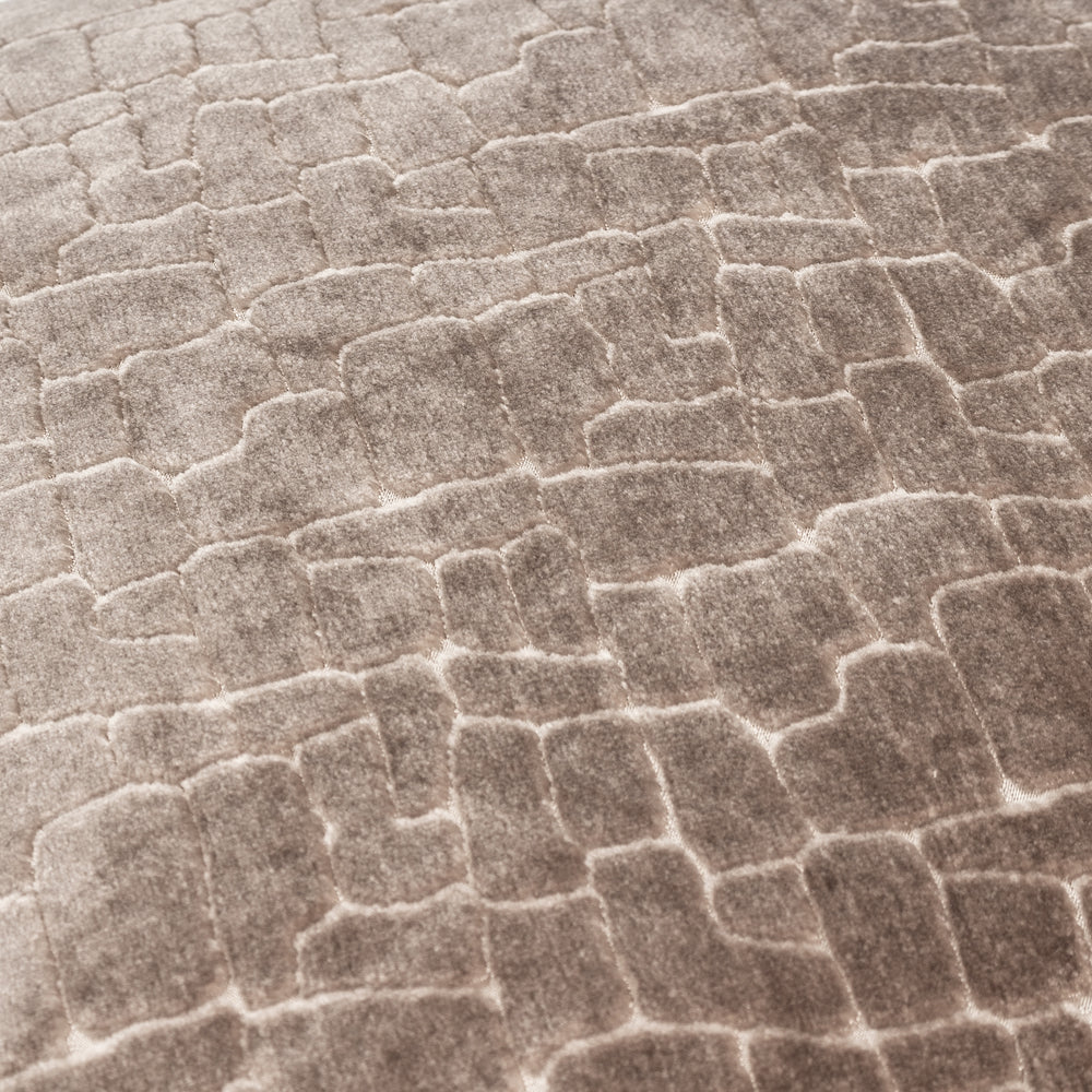 Bloomsbury Velvet Cushion