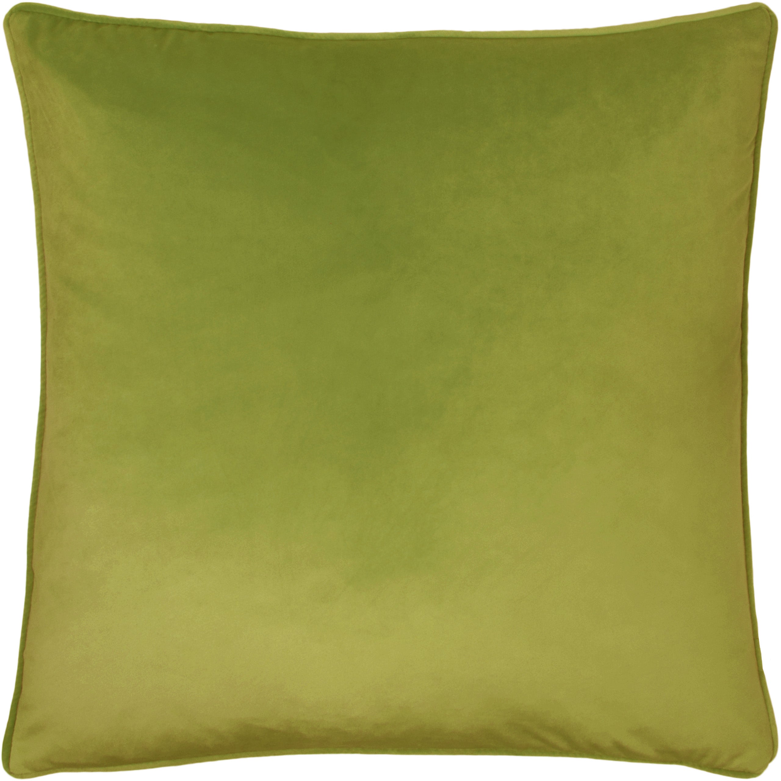 Blossoms Pear Printed Cushion