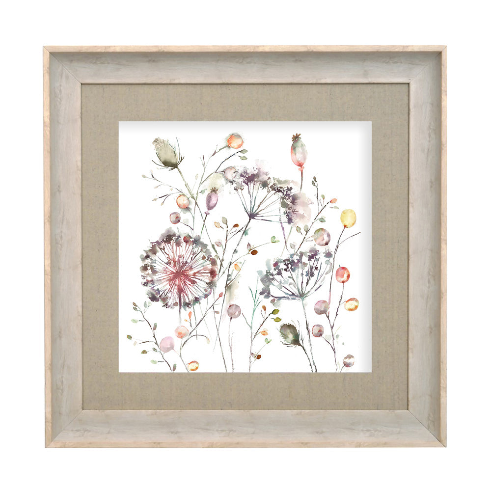 Boronia Framed Print