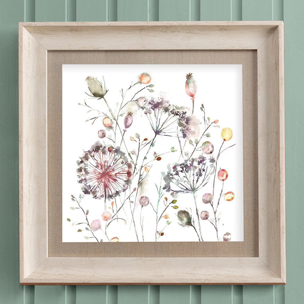 Boronia Framed Print