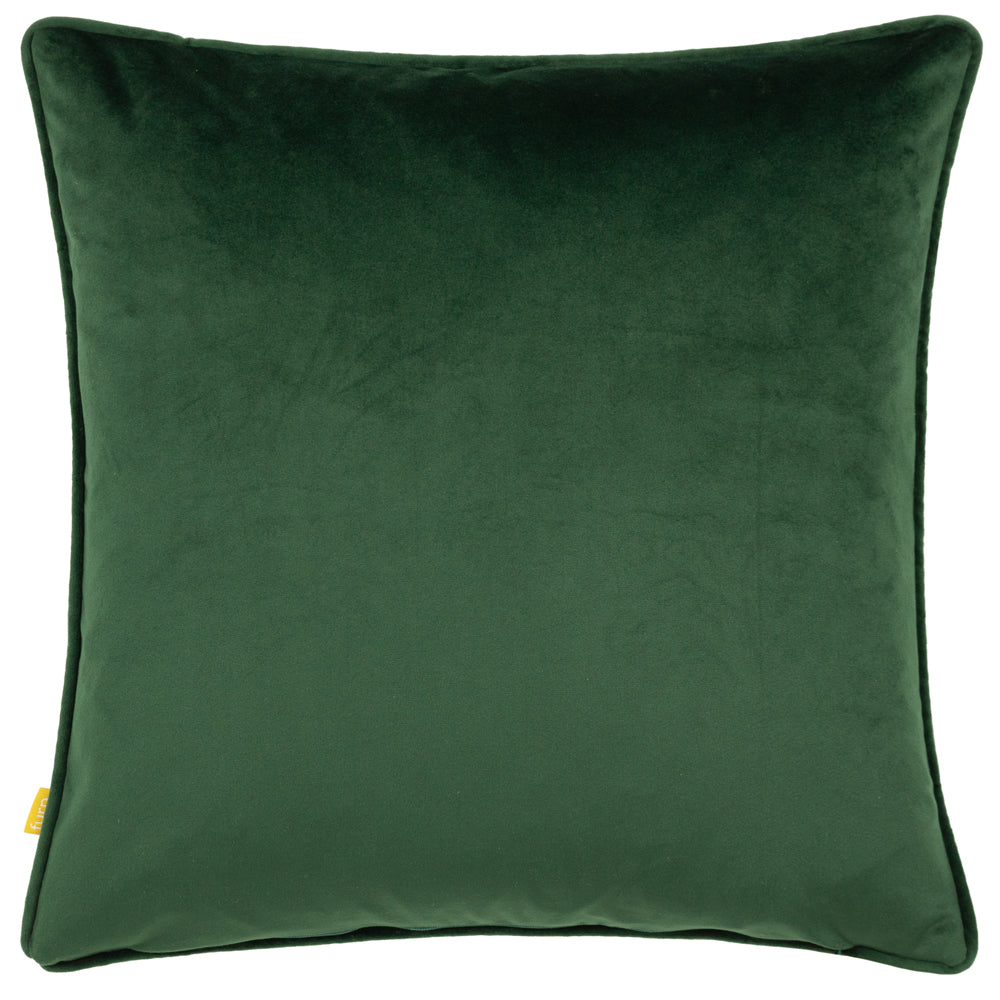 Buckthorn Cushion