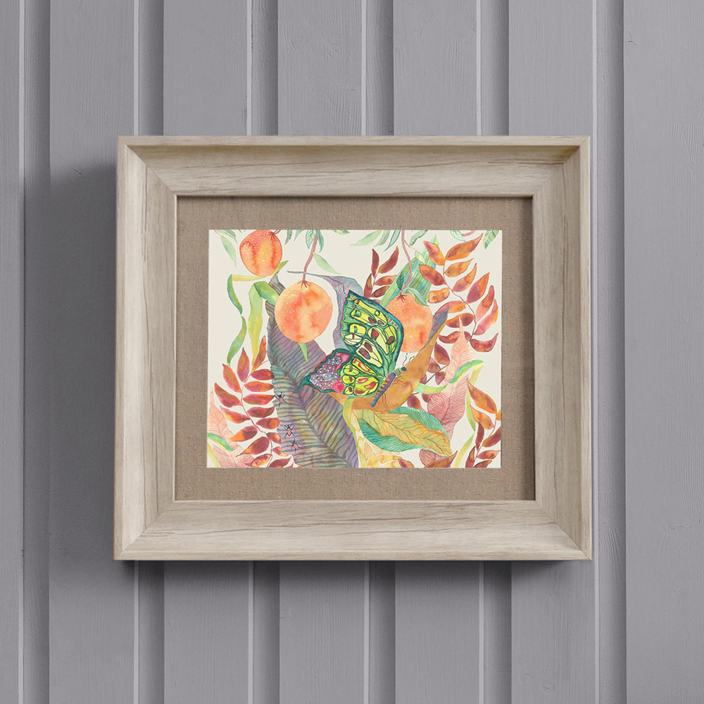 Butterfly Framed Print