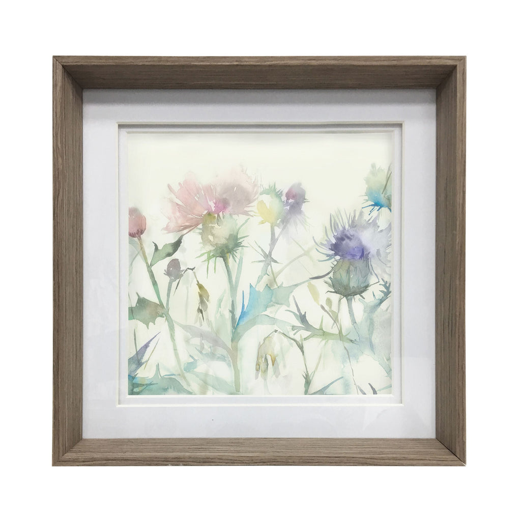 Cirsium Framed Print
