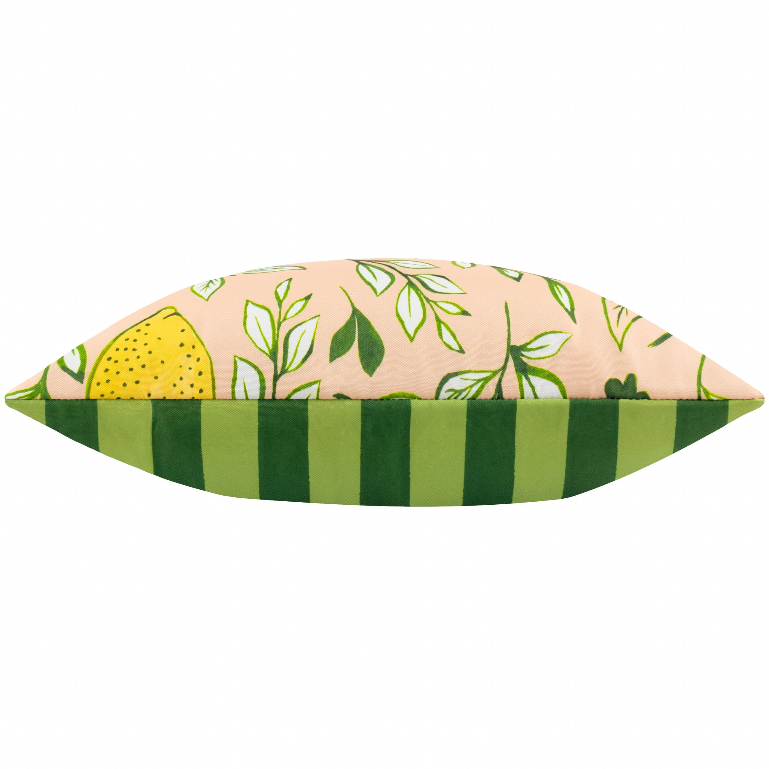 Citronello Printed Outdoor Cushion