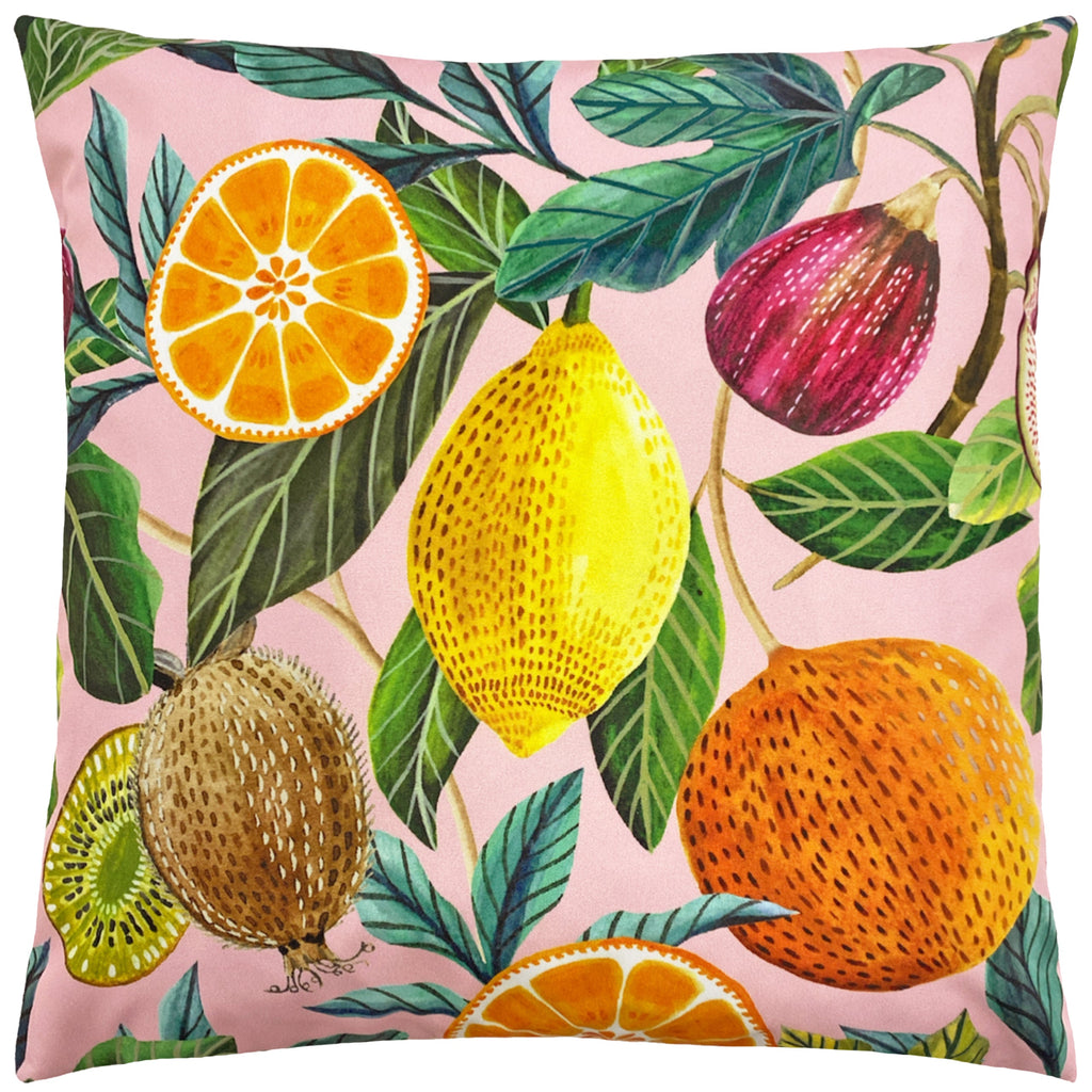 Citrus Outdoor Cushion