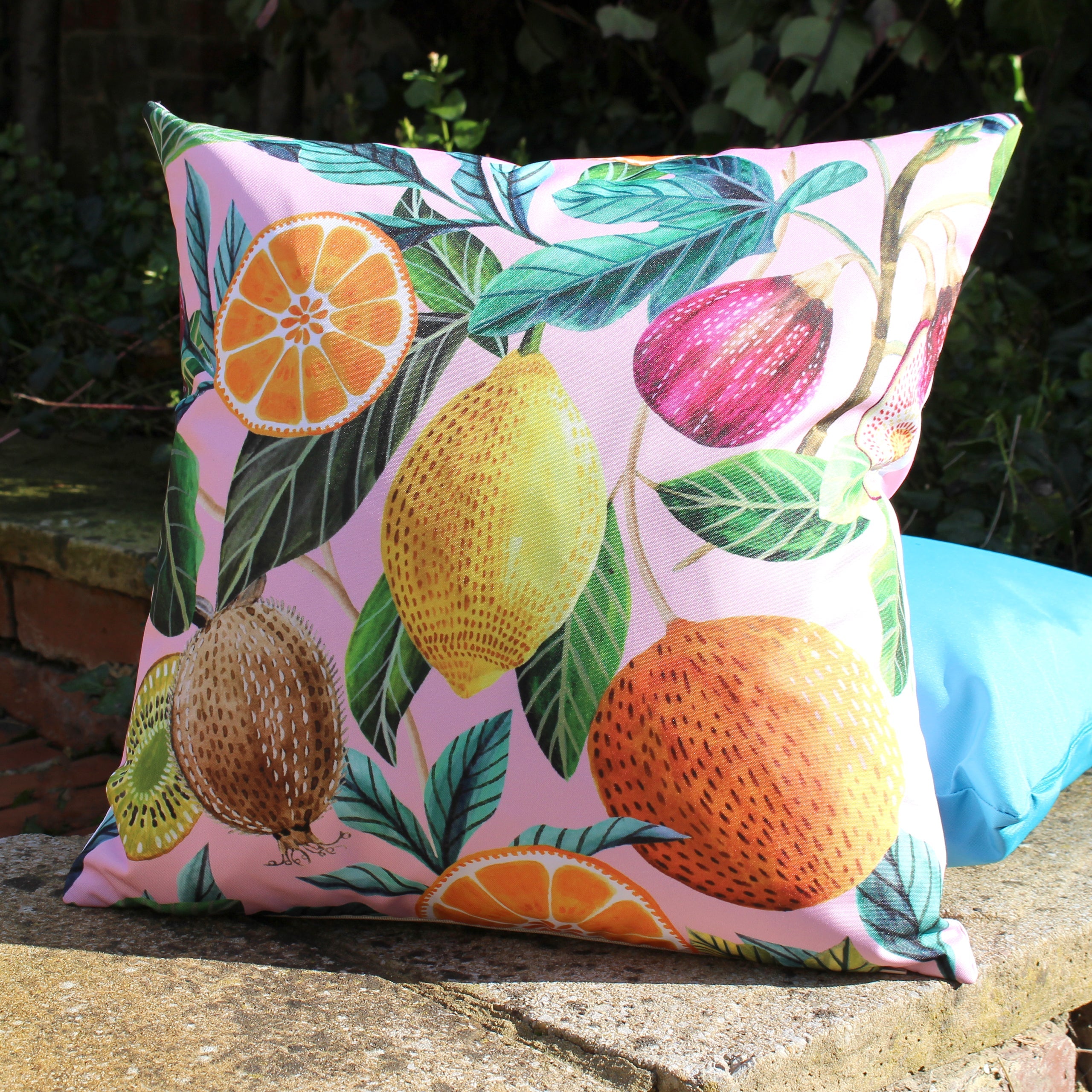 Citrus Outdoor Cushion