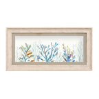 Coral Reef Framed Print