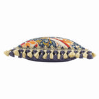 Cray Tasselled Velvet Cushion