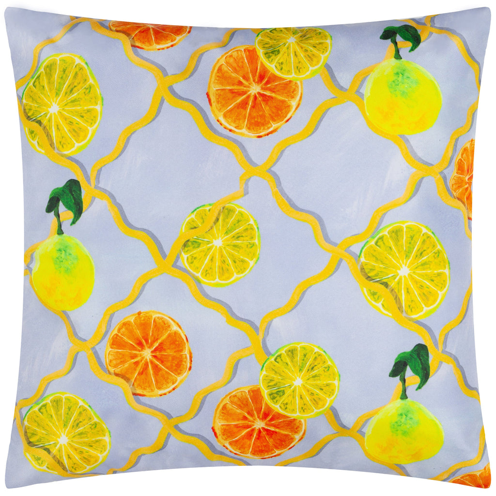 Citrus Trellis Printed Outdoor Cushion