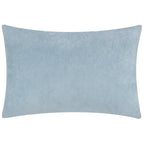 Darland Velvet Cushion