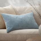 Darland Velvet Cushion