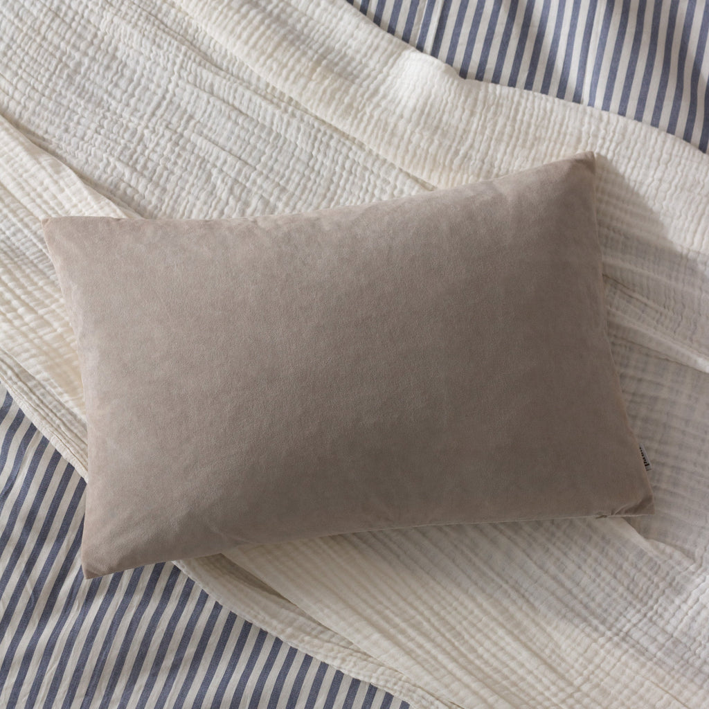 Darland Velvet Cushion