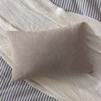 Darland Velvet Cushion