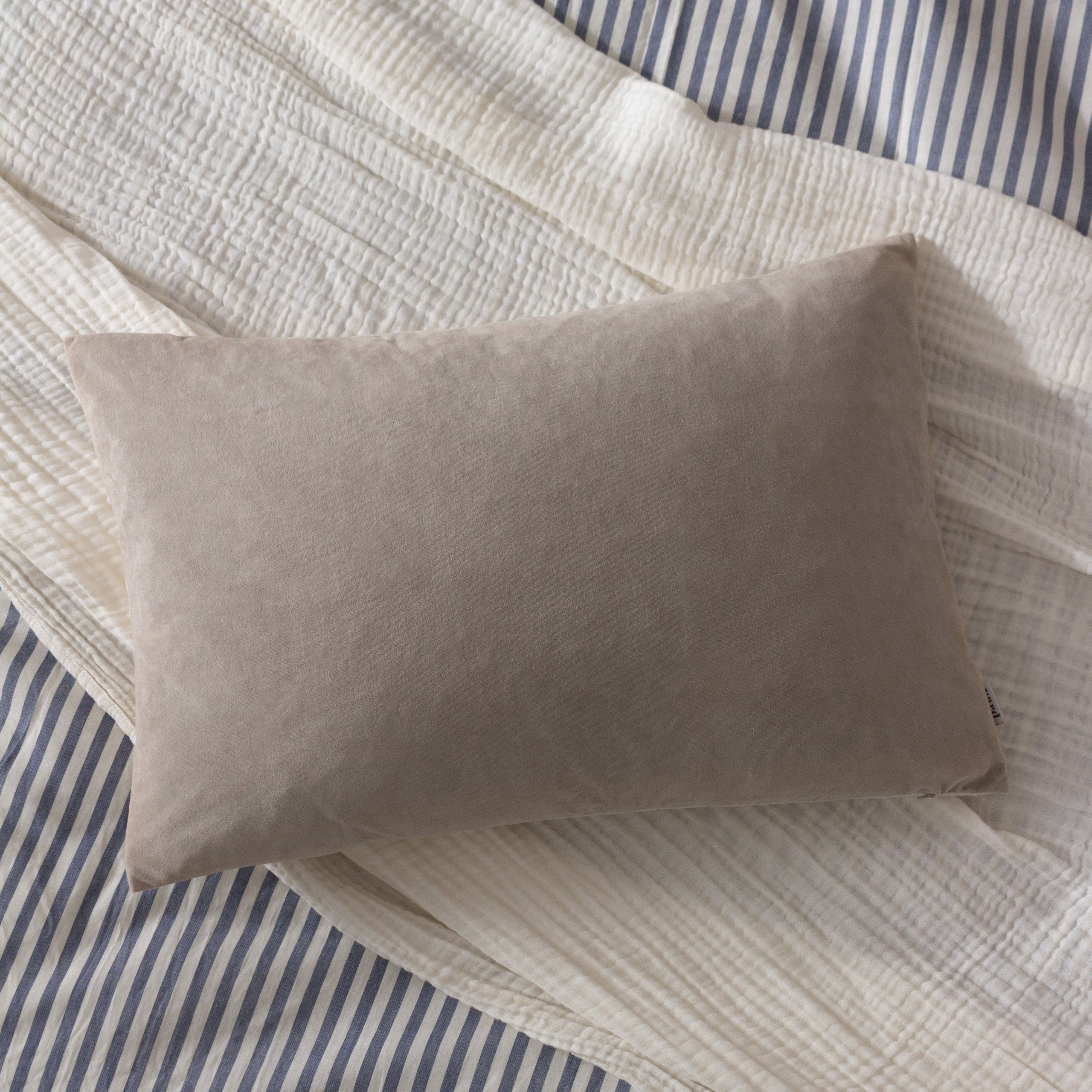 Darland Velvet Cushion