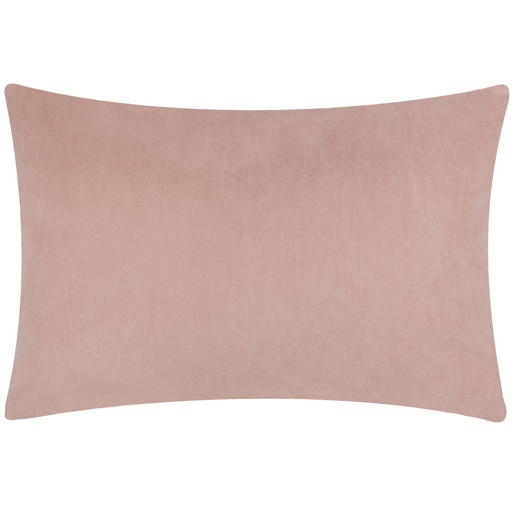 Darland Velvet Cushion