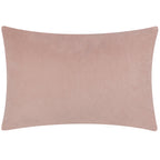 Darland Velvet Cushion
