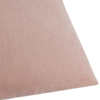 Darland Velvet Cushion