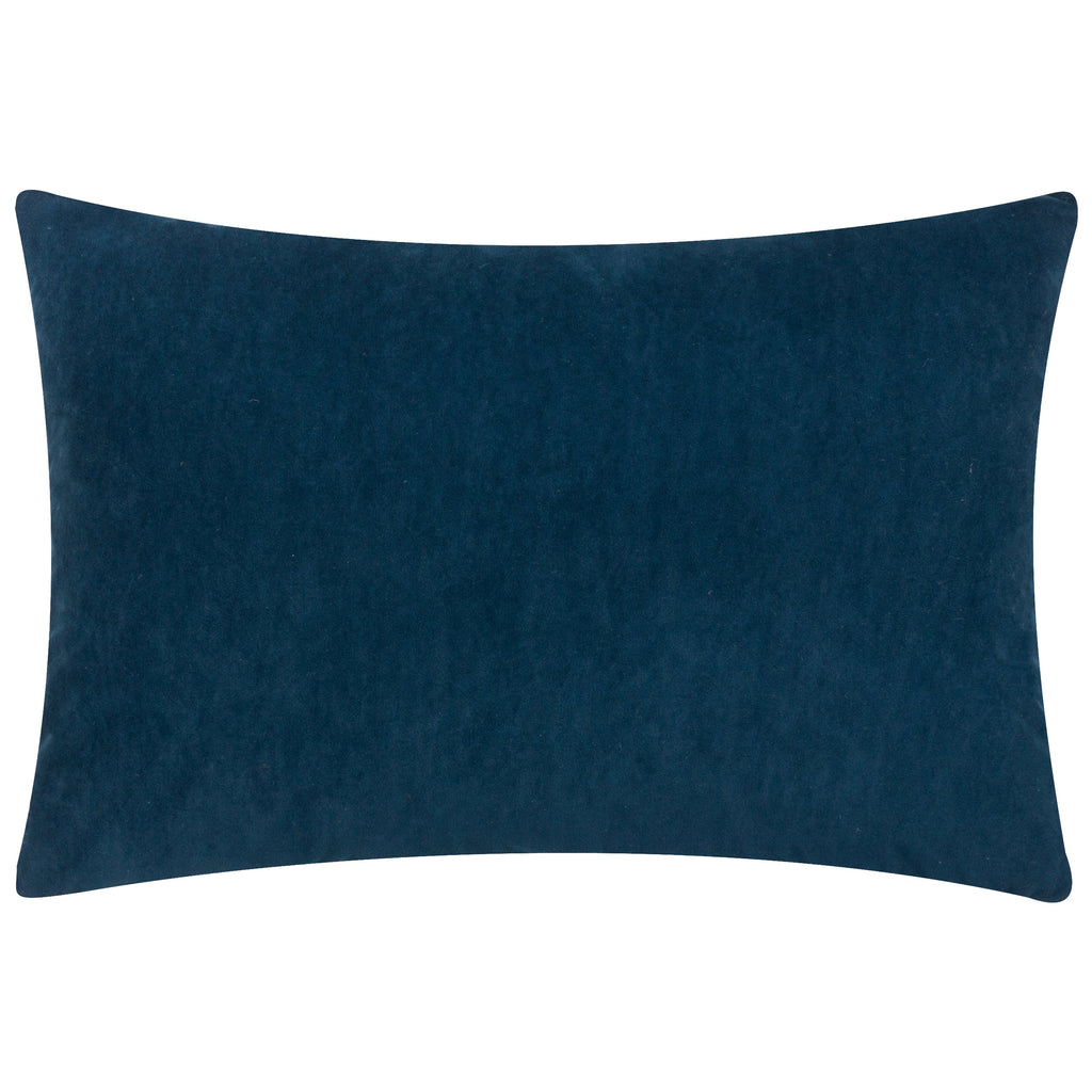 Darland Velvet Cushion