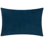 Darland Velvet Cushion