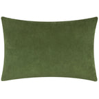 Darland Velvet Cushion