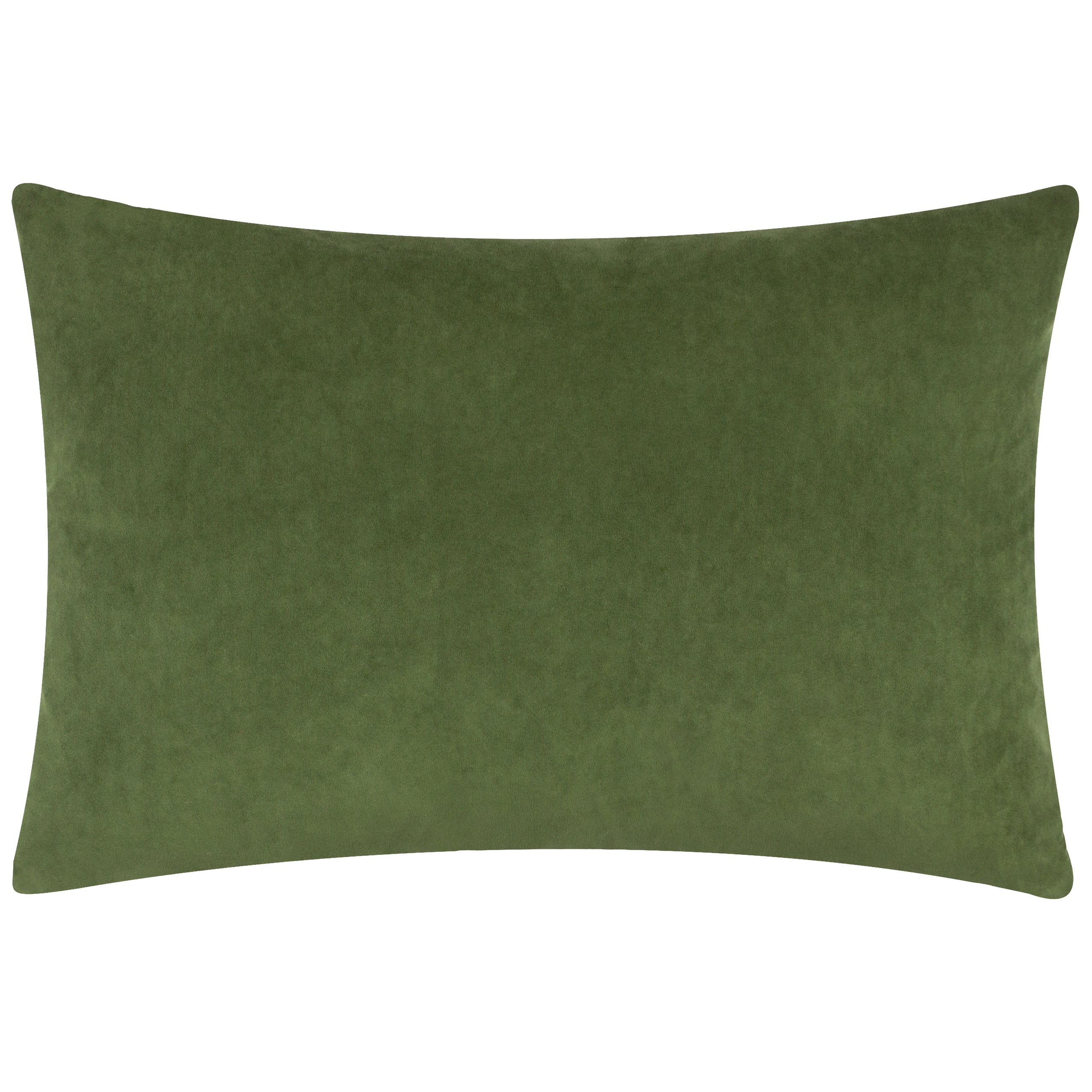 Darland Velvet Cushion