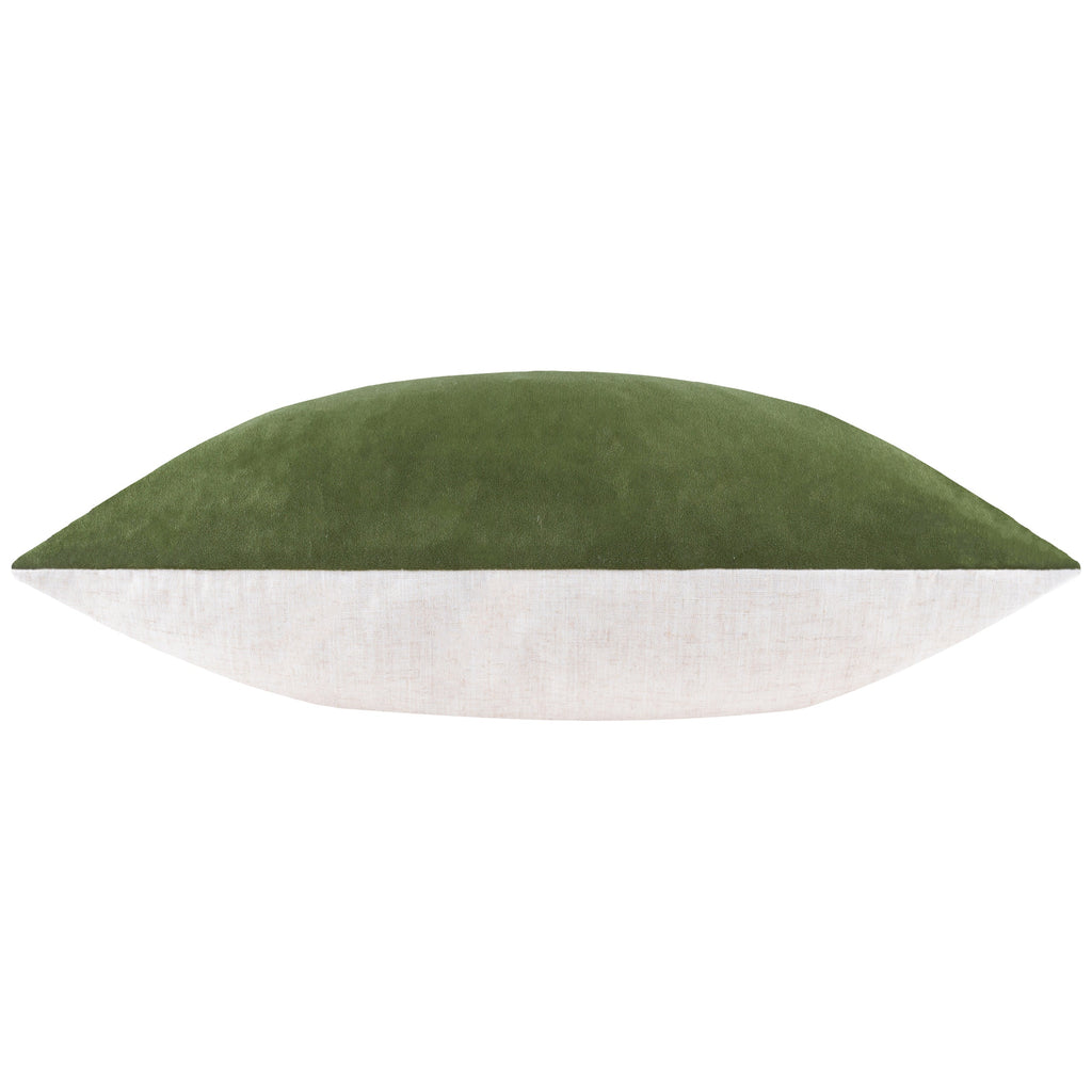 Darland Velvet Cushion