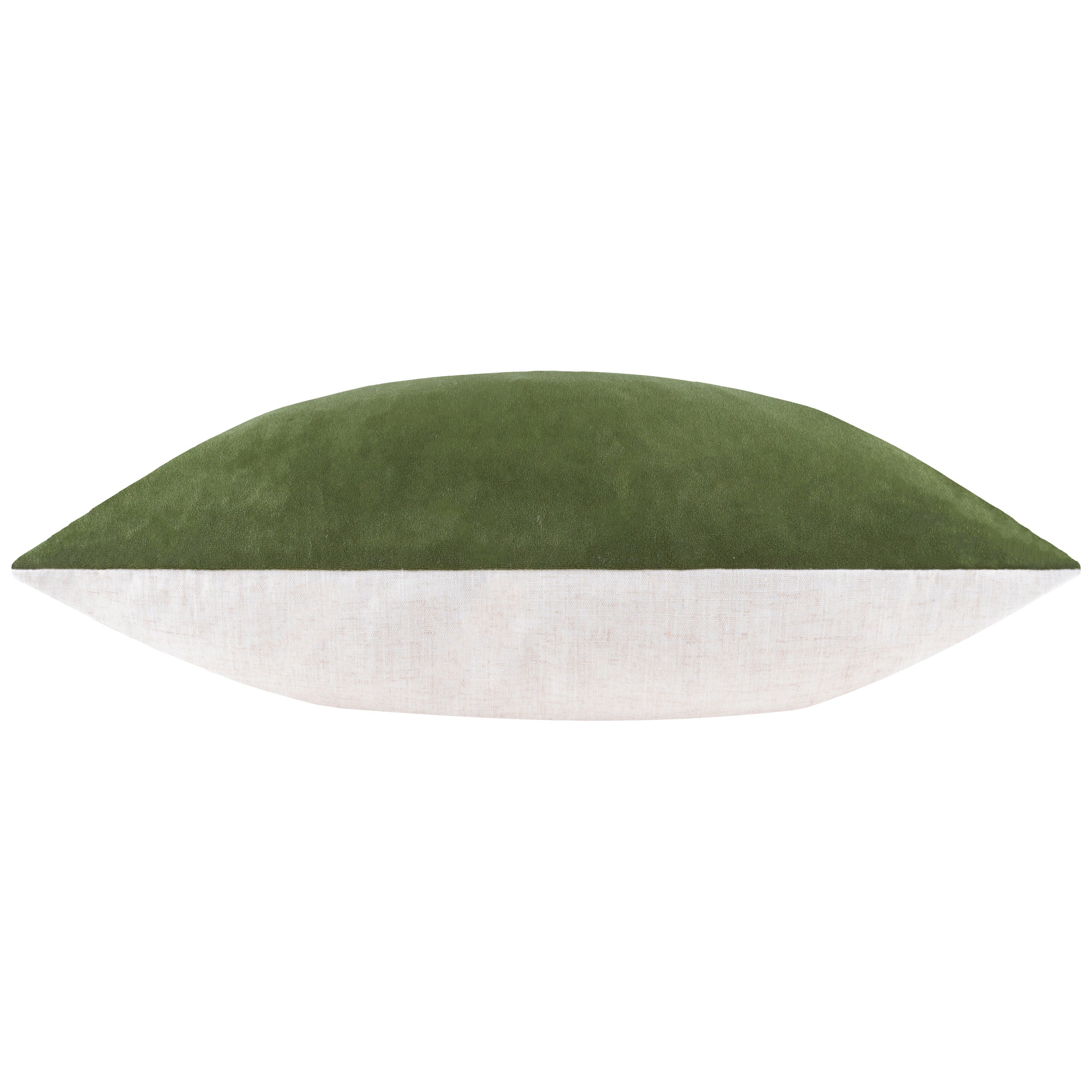 Darland Velvet Cushion