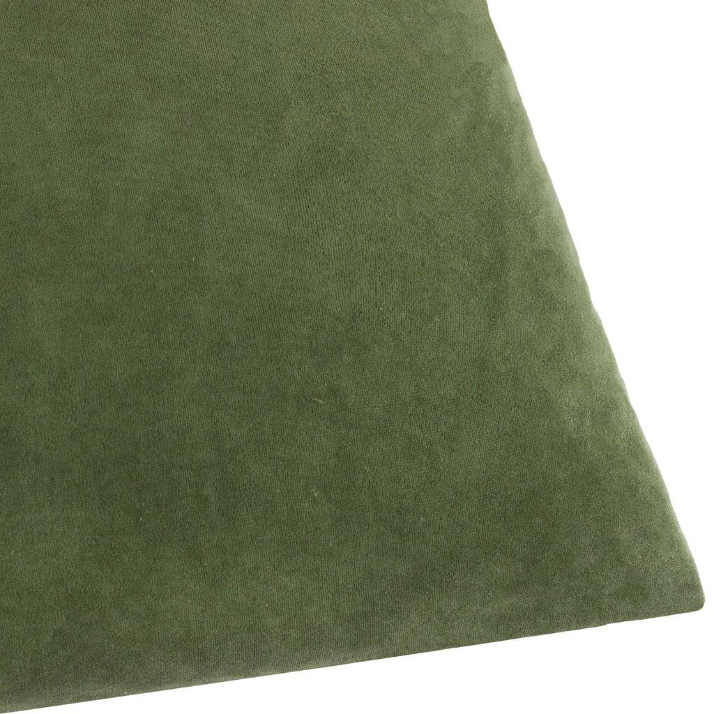 Darland Velvet Cushion