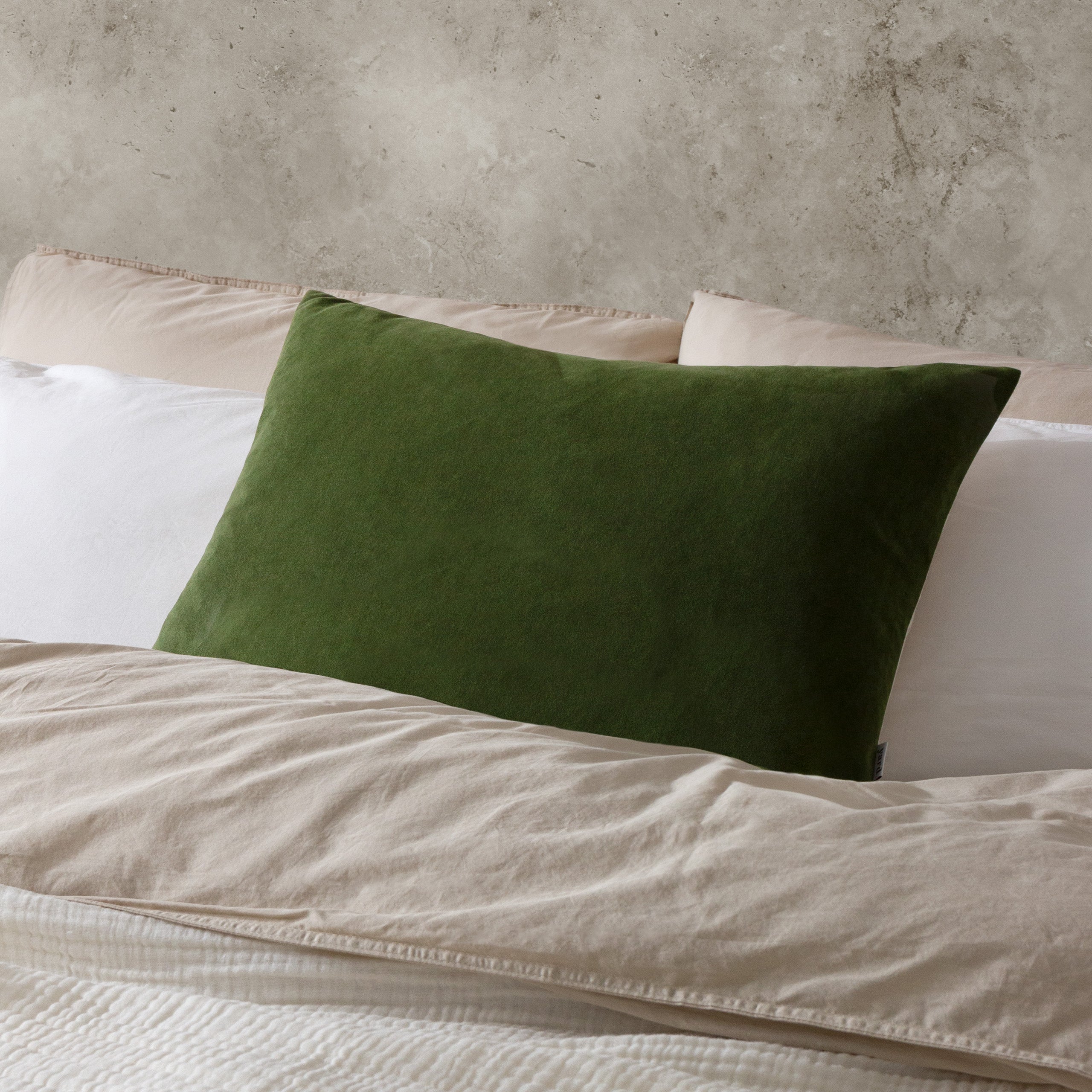 Darland Velvet Cushion