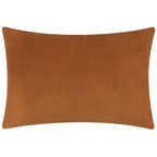 Darland Velvet Cushion