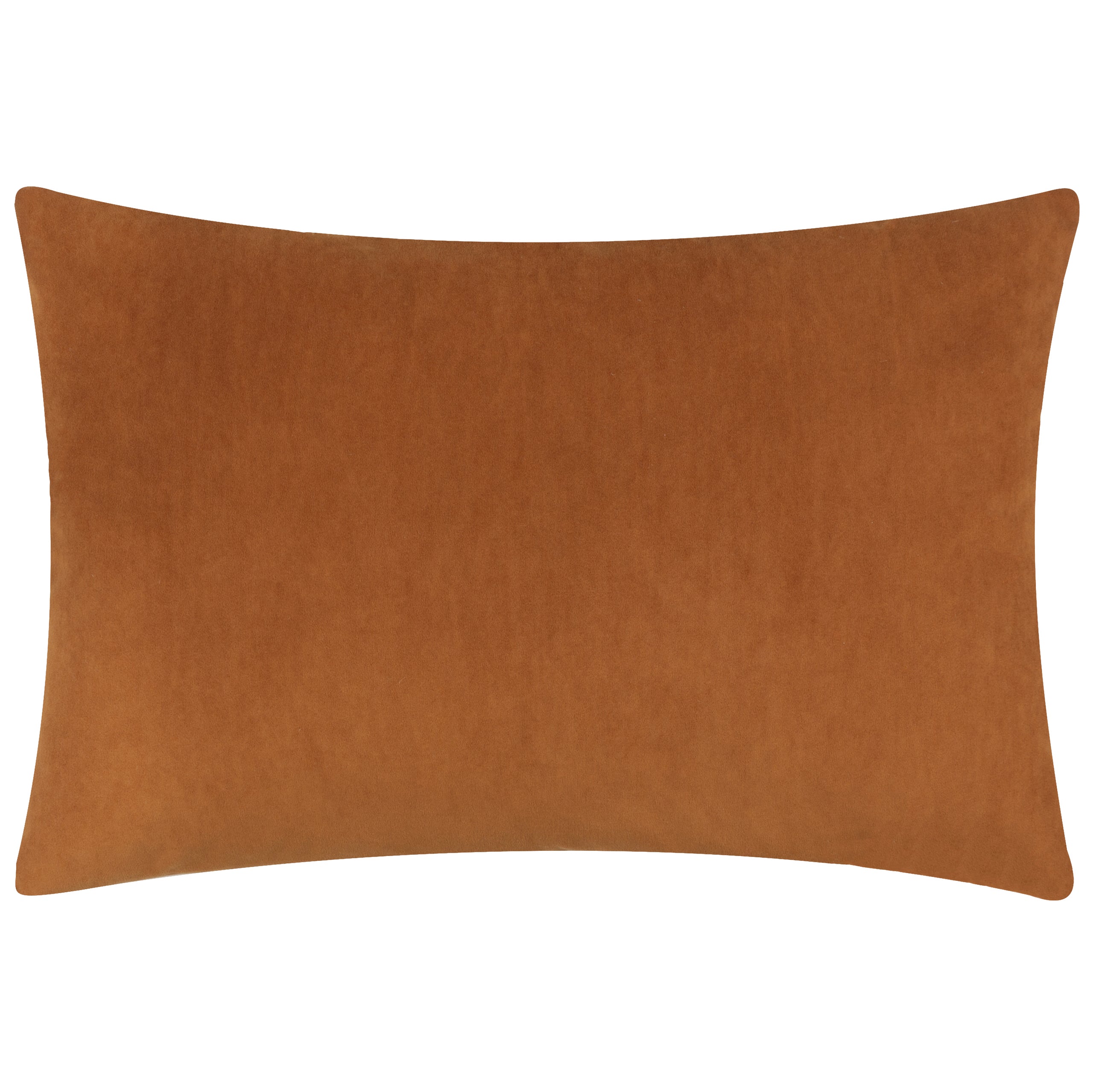 Darland Velvet Cushion