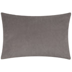 Darland Velvet Cushion
