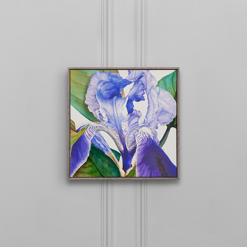 Darwen Framed Canvas