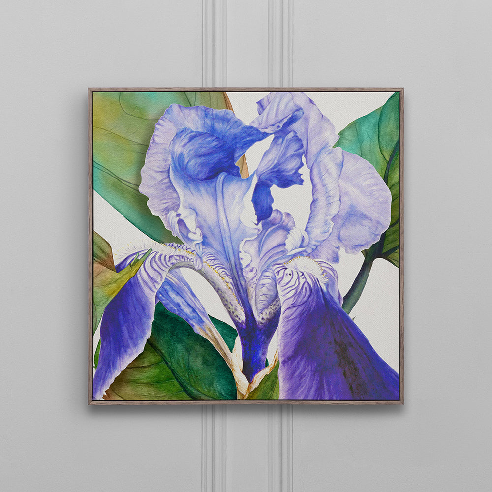 Darwen Framed Canvas