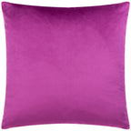 Dashing Cushion