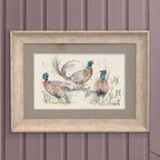 Dashing Pheasants Framed Print