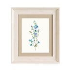 Dotty Framed Print