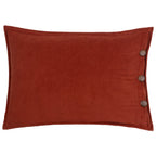 Effron Washed Velvet Cushion