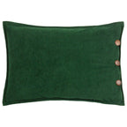 Effron Washed Velvet Cushion