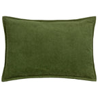 Effron Washed Velvet Cushion