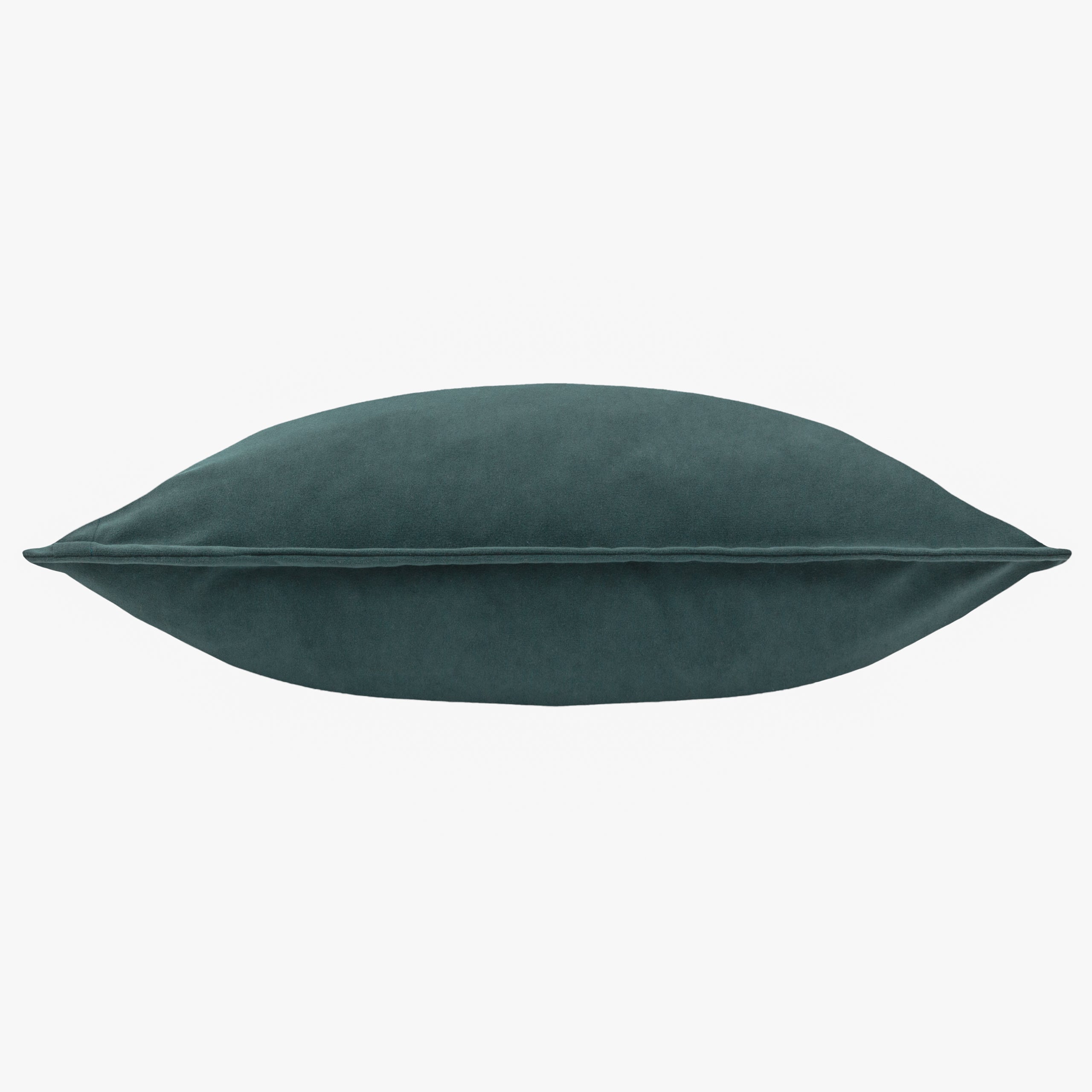 Effron Washed Velvet Cushion