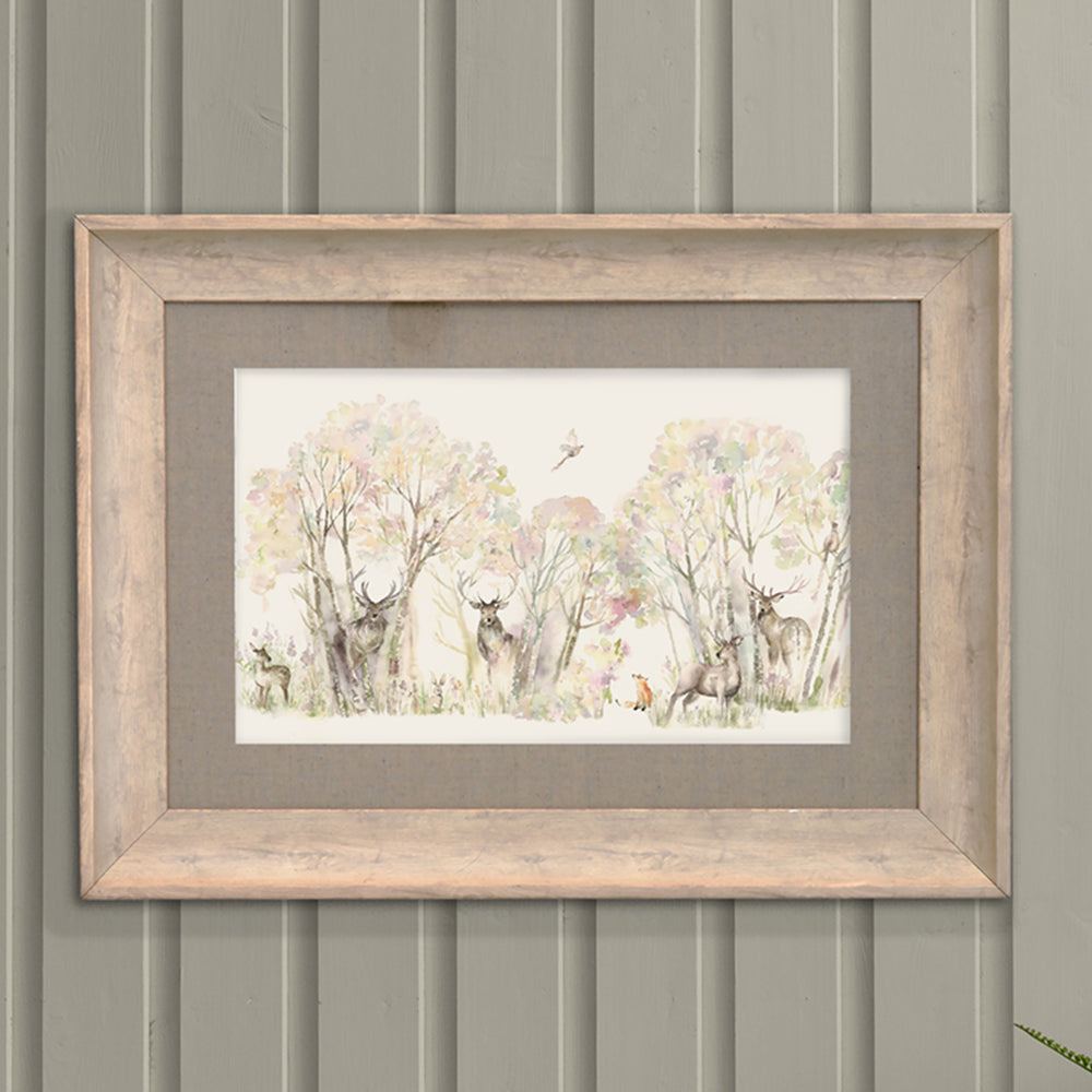 Enchanted Forest Framed Print